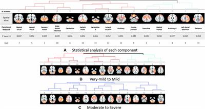 Evaluation of <mark class="highlighted">Functional Decline</mark> in Alzheimer’s Dementia Using 3D Deep Learning and Group ICA for rs-fMRI Measurements